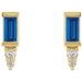 Accented Bar Earrings