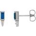 Accented Bar Earrings