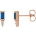 Accented Bar Earrings