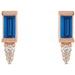 Accented Bar Earrings