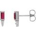 Accented Bar Earrings