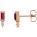 Accented Bar Earrings