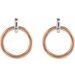 Circle Dangle Earrings