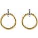 Circle Dangle Earrings