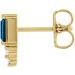 Accented Bar Earrings
