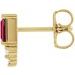 Accented Bar Earrings