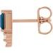 Accented Bar Earrings