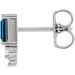 Accented Bar Earrings