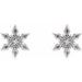 Snowflake Earrings