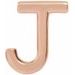 Single Initial Earring