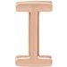 Single Initial Earring