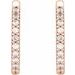 Accented Huggie Earrings
