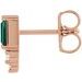 Accented Bar Earrings