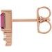 Accented Bar Earrings