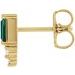 Accented Bar Earrings