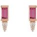 Accented Bar Earrings