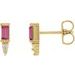 Accented Bar Earrings
