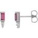 Accented Bar Earrings