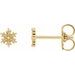 Petite Snowflake Earrings