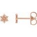 Petite Snowflake Earrings