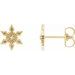 Snowflake Earrings