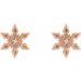 Snowflake Earrings