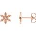 Snowflake Earrings