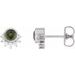 Accented Earrings