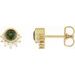 Accented Earrings
