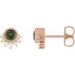 Accented Earrings