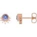 Accented Earrings