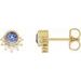 Accented Earrings