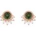 Accented Earrings