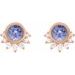Accented Earrings