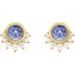 Accented Earrings