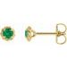 Round 4-Prong Claw Rope Stud Earrings