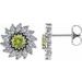 Round 7-Prong Halo-Style Earrings