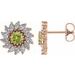 Round 7-Prong Halo-Style Earrings