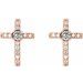 Accented Cross Earrings