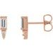 Accented Bar Earrings