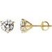 Round 3-Prong Cocktail-Style Stud Earrings