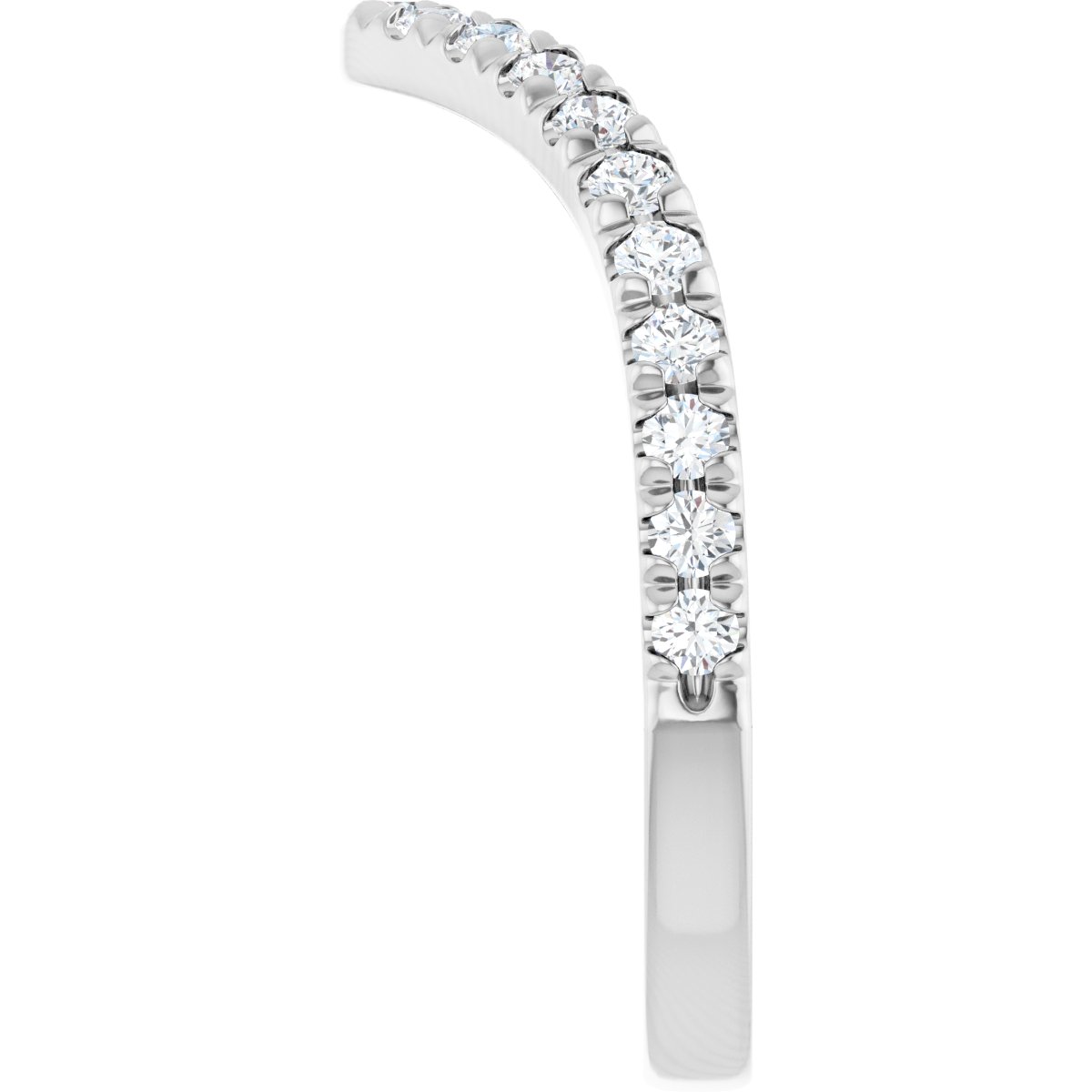 Accented Contour Band