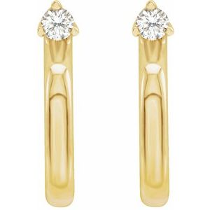 Accented Hoop Earrings