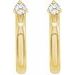 Accented Hoop Earrings