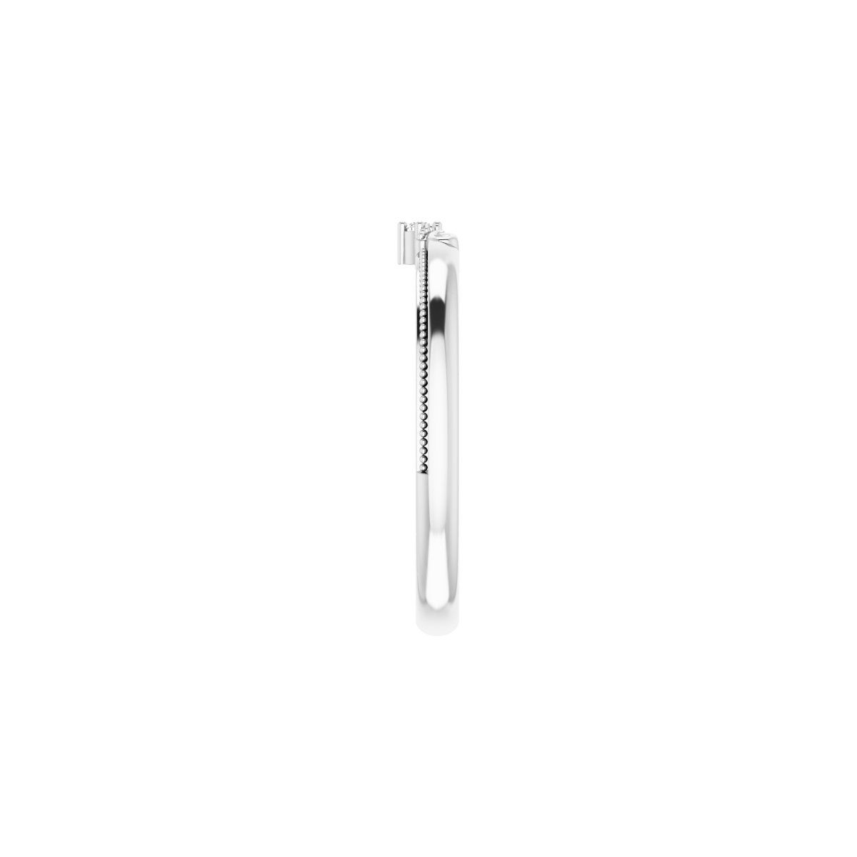 Accented Engagement Ring or Band