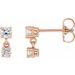 Two-Stone Earrings