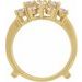 Ring Guard