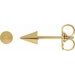 Spike Earrings