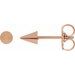 Spike Earrings