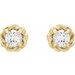 Round 4-Prong Claw Rope Stud Earrings